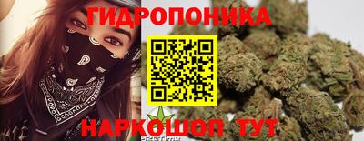 шишки Будённовск